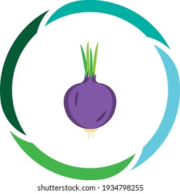 vegetable or fruit food, red onion. white background vector image