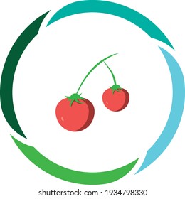 vegetable or fruit food, red tomatoes. white background vector image