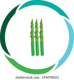 vegetable or fruit foods, asparagus. white background vector image