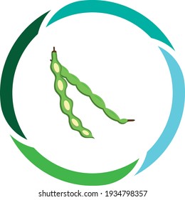 vegetable or fruit foods, green peas or in pods. white background vector image