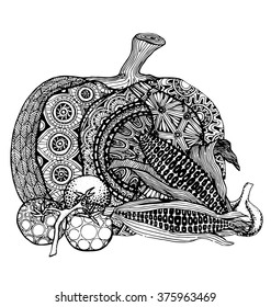 the vegetable fruit  hand drawn outline of style isolated on the white background