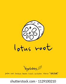 Vegetable and fruit illustrations / Hand drawn food ingredients - vector