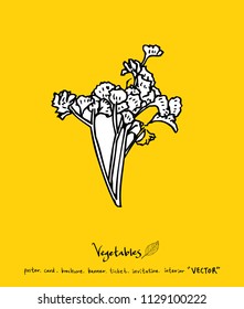 Vegetable and fruit illustrations / Hand drawn food ingredients - vector