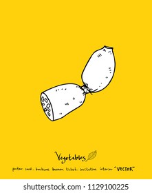 Vegetable and fruit illustrations / Hand drawn food ingredients - vector