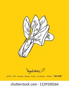 Vegetable and fruit illustrations / Hand drawn food ingredients - vector