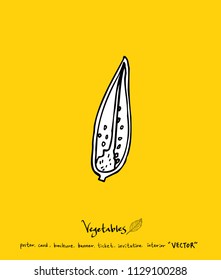 Vegetable and fruit illustrations / Hand drawn food ingredients - vector
