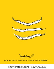 Vegetable and fruit illustrations / Hand drawn food ingredients - vector
