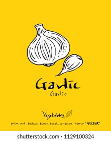 Vegetable and fruit illustrations / Hand drawn food ingredients - vector