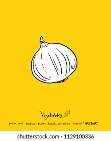 Vegetable and fruit illustrations / Hand drawn food ingredients - vector