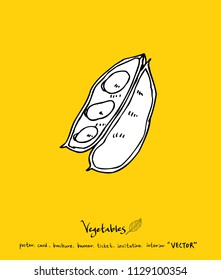 Vegetable and fruit illustrations / Hand drawn food ingredients - vector