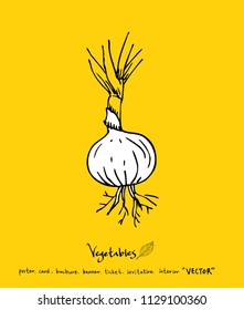 Vegetable and fruit illustrations / Hand drawn food ingredients - vector