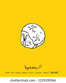 Vegetable and fruit illustrations / Hand drawn food ingredients - vector