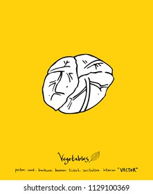 Vegetable and fruit illustrations / Hand drawn food ingredients - vector