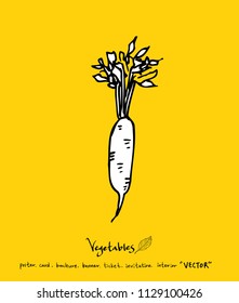 Vegetable and fruit illustrations / Hand drawn food ingredients - vector