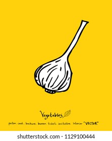 Vegetable and fruit illustrations / Hand drawn food ingredients - vector