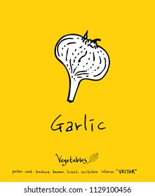 Vegetable and fruit illustrations / Hand drawn food ingredients - vector