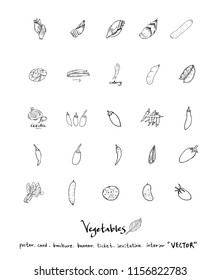 Vegetable and fruit illustrations / Hand drawn food ingredients - vector