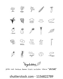 Vegetable and fruit illustrations / Hand drawn food ingredients - vector