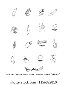 Vegetable and fruit illustrations / Hand drawn food ingredients - vector