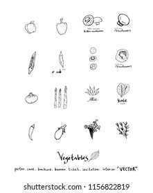 Vegetable and fruit illustrations / Hand drawn food ingredients - vector