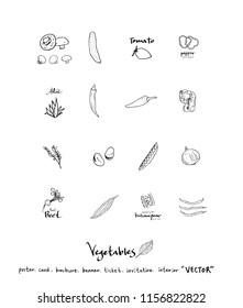 Vegetable and fruit illustrations / Hand drawn food ingredients - vector