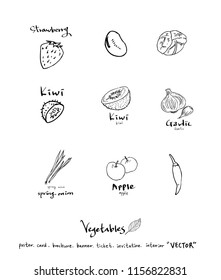 Vegetable and fruit illustrations / Hand drawn food ingredients - vector