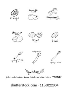 Vegetable and fruit illustrations / Hand drawn food ingredients - vector