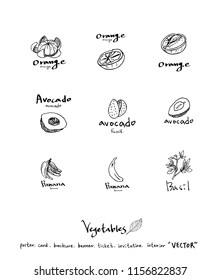 Vegetable and fruit illustrations / Hand drawn food ingredients - vector