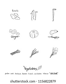 Vegetable and fruit illustrations / Hand drawn food ingredients - vector