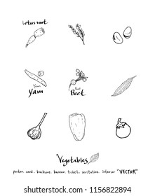 Vegetable and fruit illustrations / Hand drawn food ingredients - vector