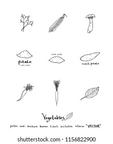 Vegetable and fruit illustrations / Hand drawn food ingredients - vector