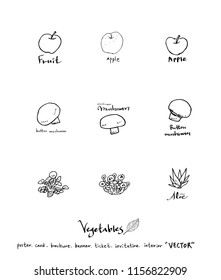 Vegetable and fruit illustrations / Hand drawn food ingredients - vector
