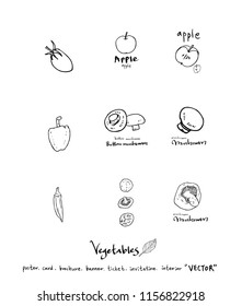 Vegetable and fruit illustrations / Hand drawn food ingredients - vector