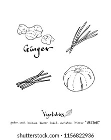 Vegetable and fruit illustrations / Hand drawn food ingredients - vector