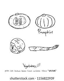 Vegetable and fruit illustrations / Hand drawn food ingredients - vector