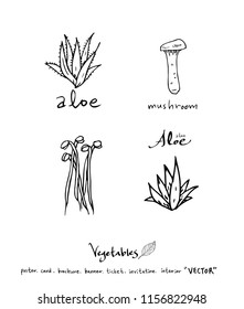 Vegetable and fruit illustrations / Hand drawn food ingredients - vector
