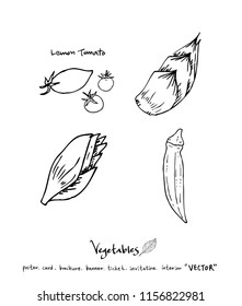 Vegetable and fruit illustrations / Hand drawn food ingredients - vector