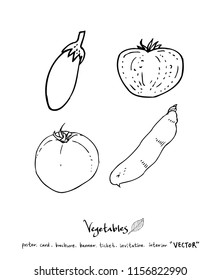 Vegetable and fruit illustrations / Hand drawn food ingredients - vector