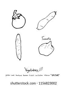 Vegetable and fruit illustrations / Hand drawn food ingredients - vector