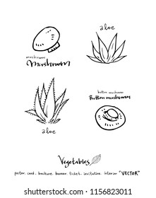 Vegetable and fruit illustrations / Hand drawn food ingredients - vector