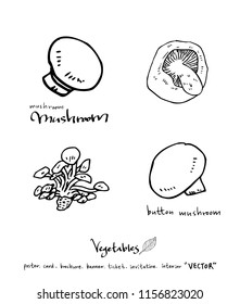 Vegetable and fruit illustrations / Hand drawn food ingredients - vector