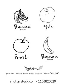 Vegetable and fruit illustrations / Hand drawn food ingredients - vector