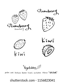 Vegetable and fruit illustrations / Hand drawn food ingredients - vector
