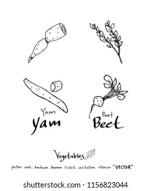 Vegetable and fruit illustrations / Hand drawn food ingredients - vector