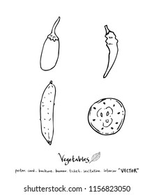 Vegetable and fruit illustrations / Hand drawn food ingredients - vector