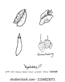 Vegetable and fruit illustrations / Hand drawn food ingredients - vector