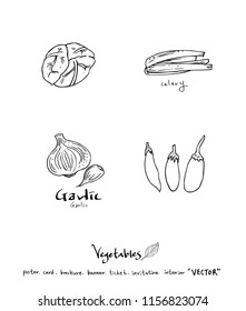 Vegetable and fruit illustrations / Hand drawn food ingredients - vector
