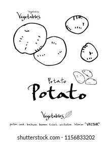 Vegetable and fruit illustrations / Hand drawn food ingredients - vector