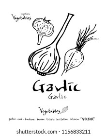 Vegetable and fruit illustrations / Hand drawn food ingredients - vector