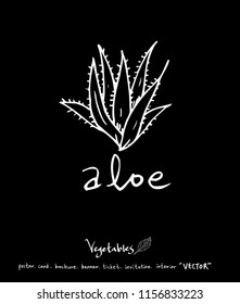 Vegetable and fruit illustrations / Hand drawn food ingredients - vector